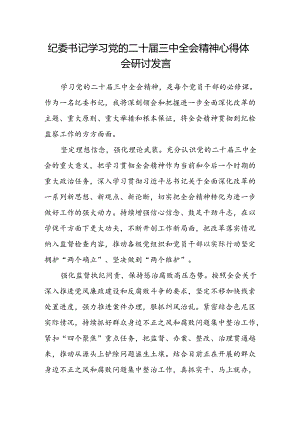 纪委书记学习党的二十届三中全会精神心得体会研讨发言.docx