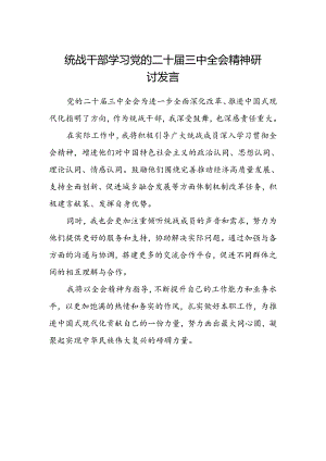 统战干部学习党的二十届三中全会精神研讨发言范文.docx