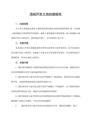 违规开发土地自查报告.docx