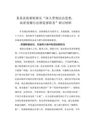 某某县检察检察长“深入贯彻法治思想高质效履行法律监督职责”研讨材料.docx