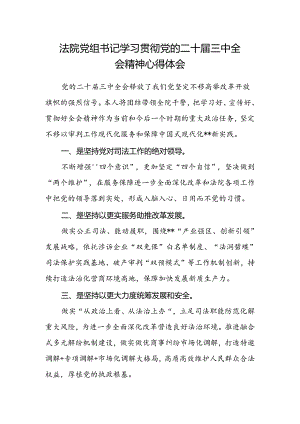 法院党组书记学习贯彻党的二十届三中全会精神心得体会.docx