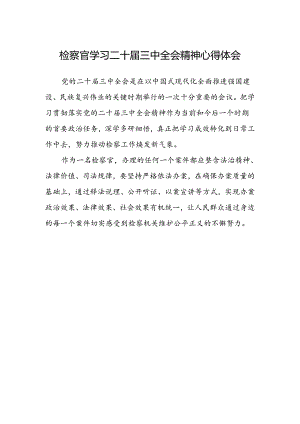 检察官学习二十届三中全会精神心得体会.docx