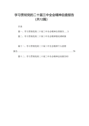 （12篇）学习贯彻党的二十届三中全会精神自查报告（精选）.docx