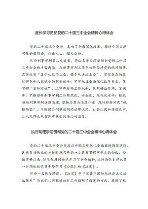 庭长学习贯彻党的二十届三中全会精神心得体会优选5篇.docx