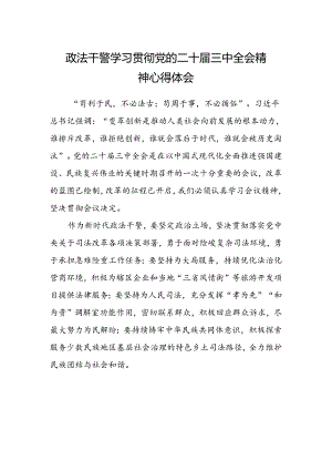 政法干警学习贯彻党的二十届三中全会精神心得体会 .docx