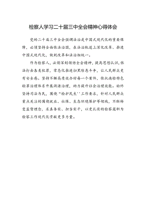 检察人学习二十届三中全会精神心得体会.docx