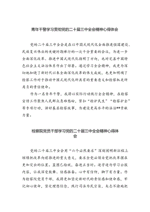 青年干警学习贯彻党的二十届三中全会精神心得体会5篇（精选版）.docx
