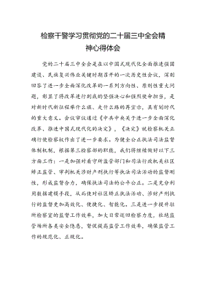 检察干警学习贯彻党的二十届三中全会精神心得体会范本.docx