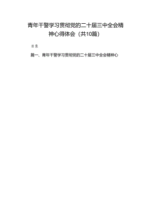 青年干警学习贯彻党的二十届三中全会精神心得体会10篇（详细版）.docx