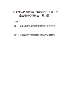 治安大队教导员学习贯彻党的二十届三中全会精神心得体会（共12篇）.docx