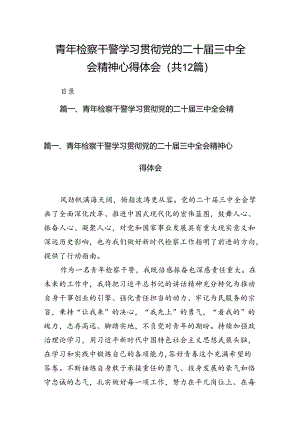 青年检察干警学习贯彻党的二十届三中全会精神心得体会12篇（最新版）.docx