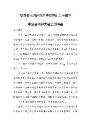 某县委书记在学习贯彻党的二十届三中全会精神大会上的讲话 .docx