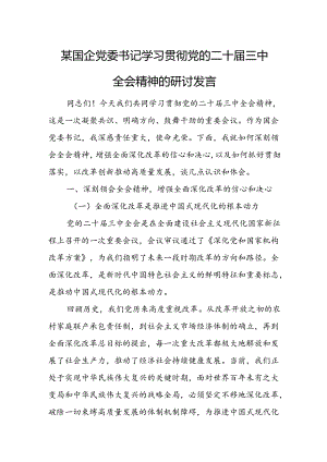 某国企党委书记学习贯彻党的二十届三中全会精神的研讨发言.docx
