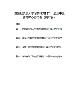 立案庭负责人学习贯彻党的二十届三中全会精神心得体会12篇（最新版）.docx