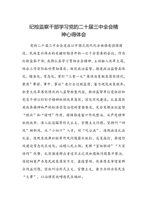 纪检监察干部学习党的二十届三中全会精神心得体会 .docx