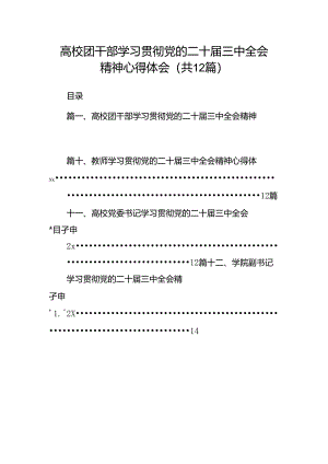 高校团干部学习贯彻党的二十届三中全会精神心得体会12篇（详细版）.docx