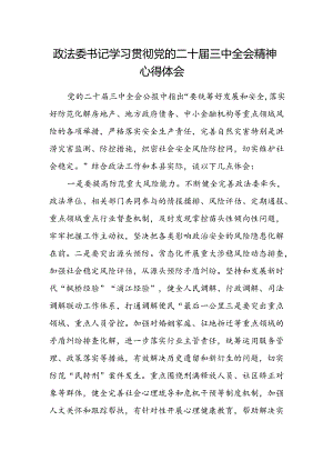 政法委书记学习贯彻党的二十届三中全会精神心得体会 .docx