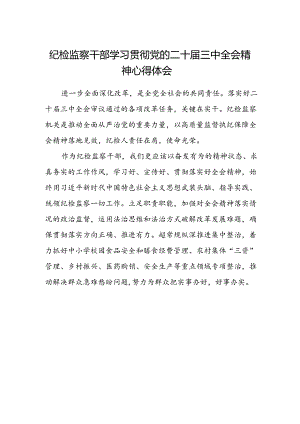纪检监察干部学习贯彻党的二十届三中全会精神心得体会.docx