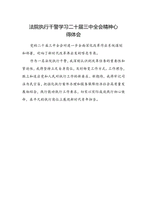 法院执行干警学习二十届三中全会精神心得体会.docx