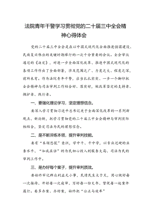 法院青年干警学习贯彻党的二十届三中全会精神心得体会 .docx