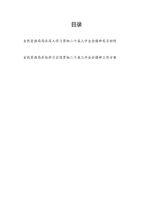 自然资源局局长学习贯彻二十届三中全会精神心得体会研讨发言材料和自然资源局系统学习宣传贯彻二十届三中全会精神工作方案.docx