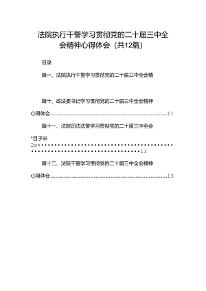 法院执行干警学习贯彻党的二十届三中全会精神心得体会12篇（精选）.docx