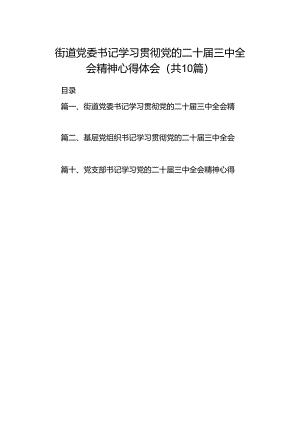 街道党委书记学习贯彻党的二十届三中全会精神心得体会十篇（精选）.docx