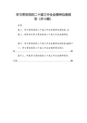 （12篇）学习贯彻党的二十届三中全会精神自查报告范文.docx