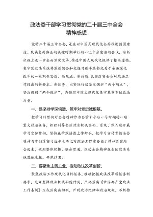政法委干部学习贯彻党的二十届三中全会精神感想.docx