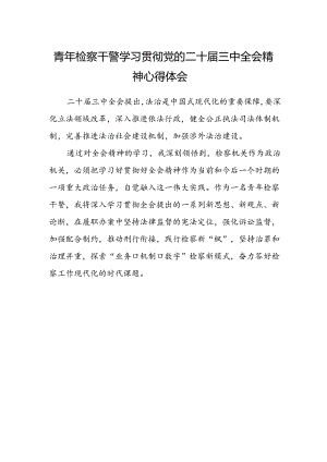 青年检察干警学习贯彻党的二十届三中全会精神心得体会范文.docx