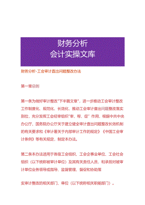财务分析-工会审计查出问题整改办法.docx