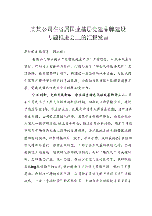 某某公司在省属国企基层党建品牌建设专题推进会上的汇报发言.docx