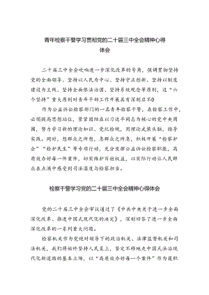 青年检察干警学习贯彻党的二十届三中全会精神心得体会范文5篇（最新版）.docx