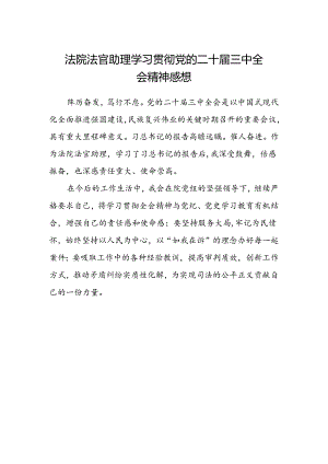 法院法官助理学习贯彻党的二十届三中全会精神感想.docx