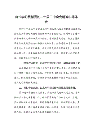 庭长学习贯彻党的二十届三中全会精神心得体会.docx