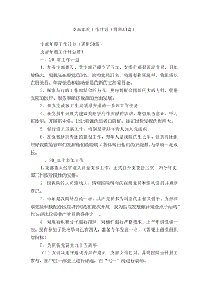 支部年度工作计划（通用30篇）.docx