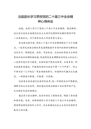 法庭庭长学习贯彻党的二十届三中全会精神心得体会.docx