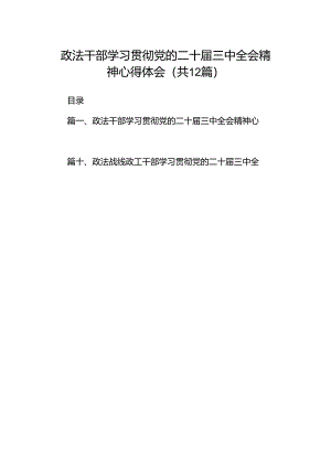 政法干部学习贯彻党的二十届三中全会精神心得体会12篇（精编版）.docx
