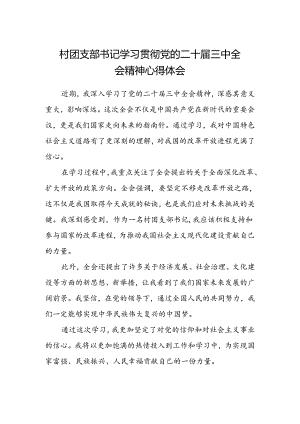 村团支部书记学习贯彻党的二十届三中全会精神心得体会范文.docx
