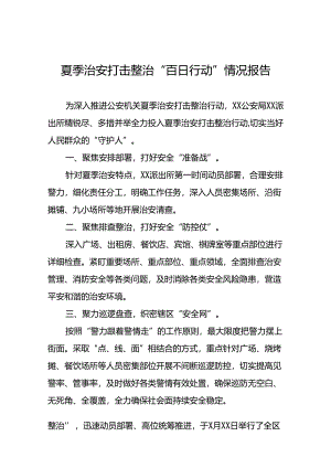 派出所2024年开展夏季治安打击整治行动情况报告十六篇.docx