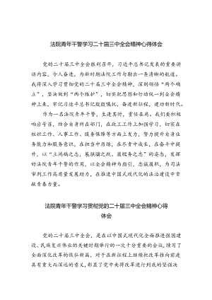 法院青年干警学习二十届三中全会精神心得体会（共8篇）.docx