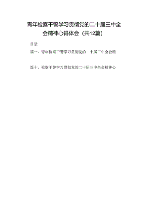 青年检察干警学习贯彻党的二十届三中全会精神心得体会12篇（精选）.docx