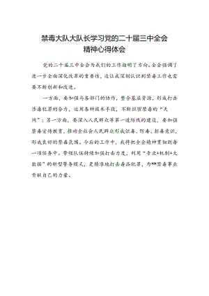 禁毒大队大队长学习党的二十届三中全会精神心得体会.docx