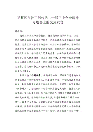 某某区在社工部传达二十届三中全会精神专题会上的交流发言.docx