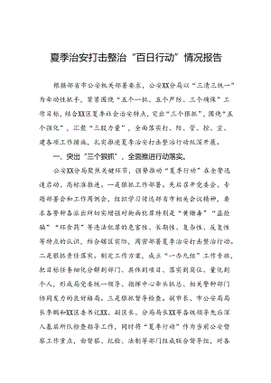 派出所开展夏季治安打击整治“百日行动”情况总结报告15篇.docx