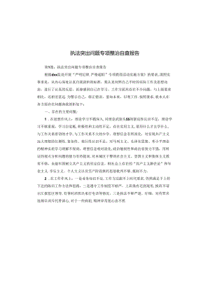 执法突出问题专项整治自查报告.docx