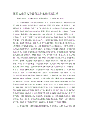 第四次全国文物普查工作推进情况汇报.docx