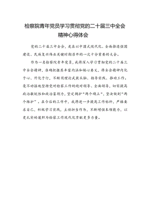 检察院青年党员学习贯彻党的二十届三中全会精神心得体会范文.docx