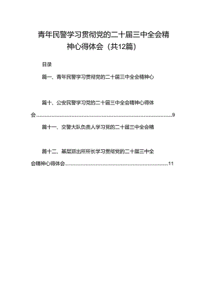 青年民警学习贯彻党的二十届三中全会精神心得体会12篇供参考.docx