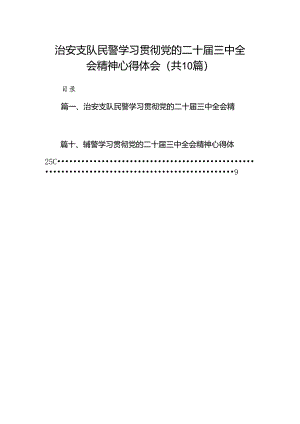 治安支队民警学习贯彻党的二十届三中全会精神心得体会10篇（详细版）.docx